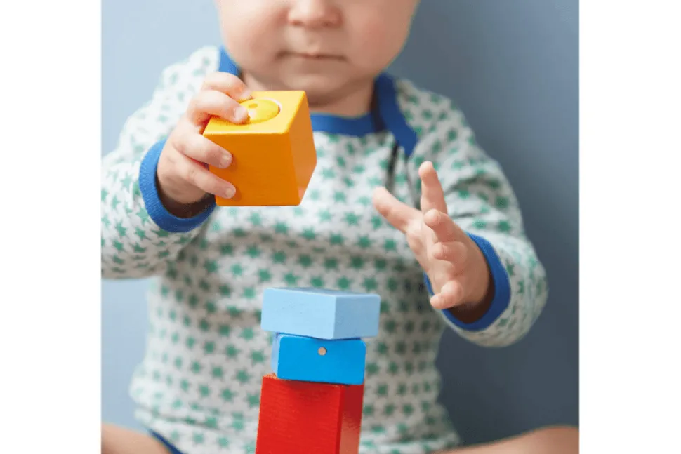 Fun with Sounds Wooden Discovery Blocks