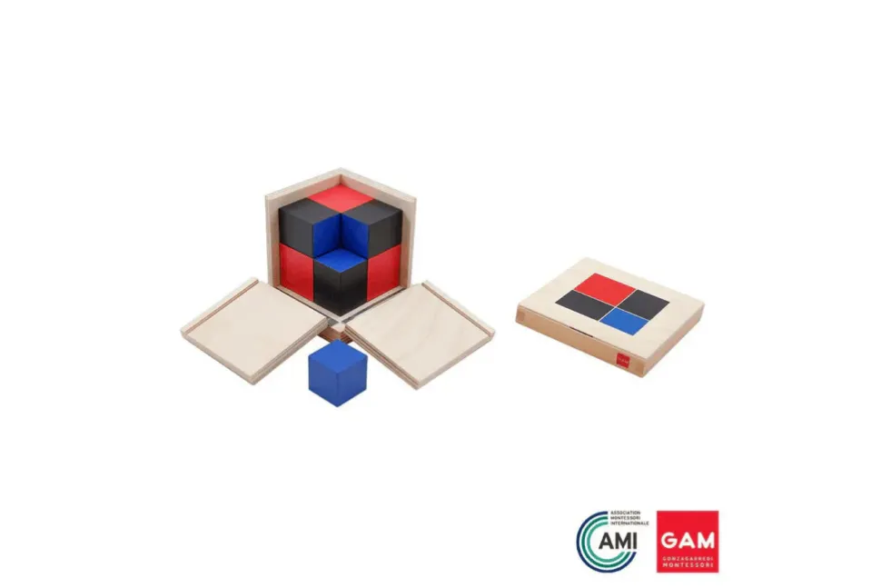 GAM - Binomial Cube