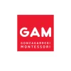 GAM - Montessori Infant Toddler Cylinder Block (No. 2)
