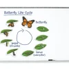 Giant Magnetic Butterfly Life Cycle