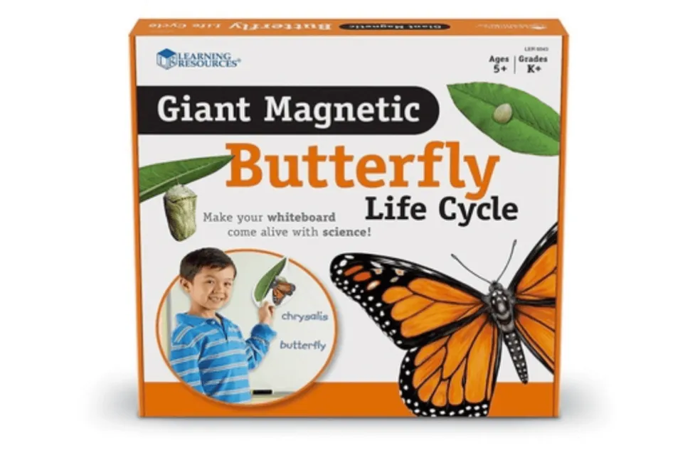 Giant Magnetic Butterfly Life Cycle