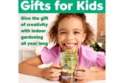 Grow N' Glow Terrarium