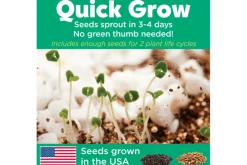 Grow N' Glow Terrarium