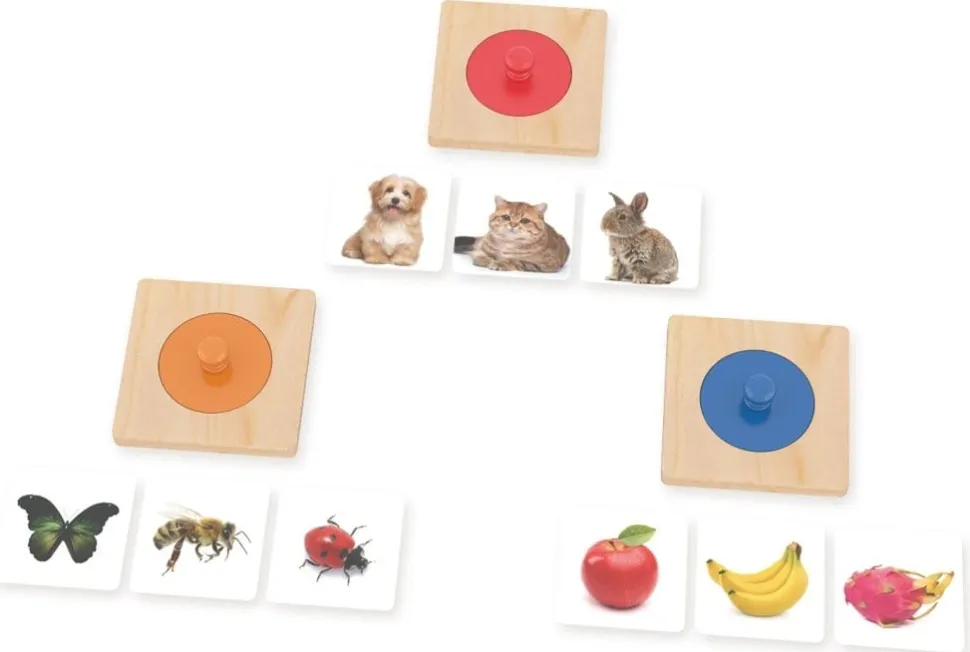 Guess Who Knob Puzzles