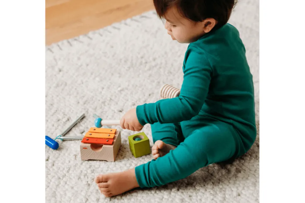 Haba Musical Joy Instrument Set