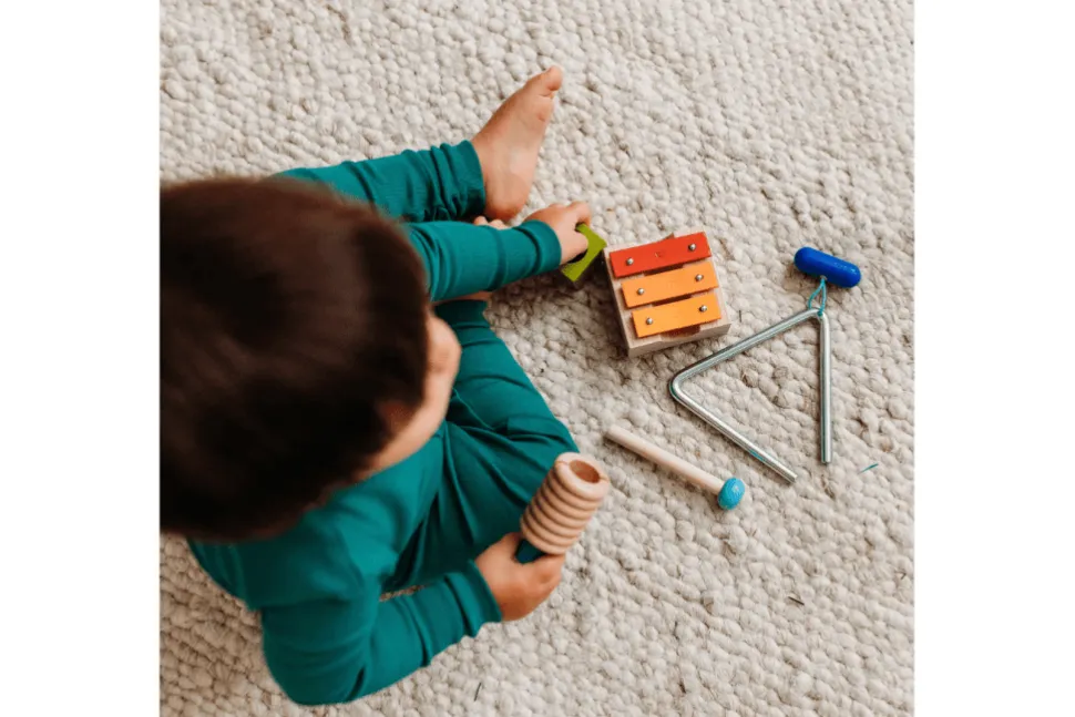 Haba Musical Joy Instrument Set