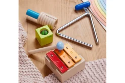 Haba Musical Joy Instrument Set