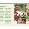 How to Raise Monarch Butterflies: A Step-by-Step Guide for Kids [Soft cover]