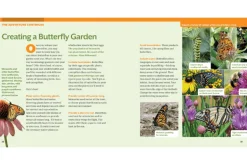 How to Raise Monarch Butterflies: A Step-by-Step Guide for Kids [Soft cover]