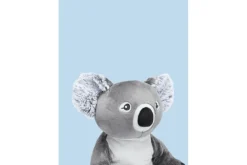Hugimals - Quinn the Koala