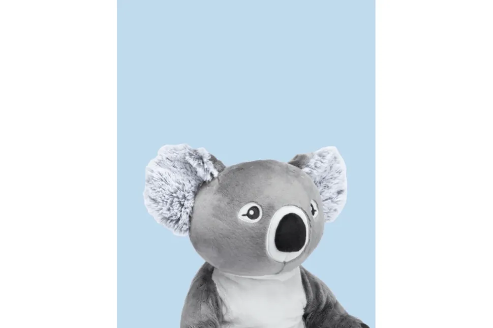 Hugimals - Quinn the Koala