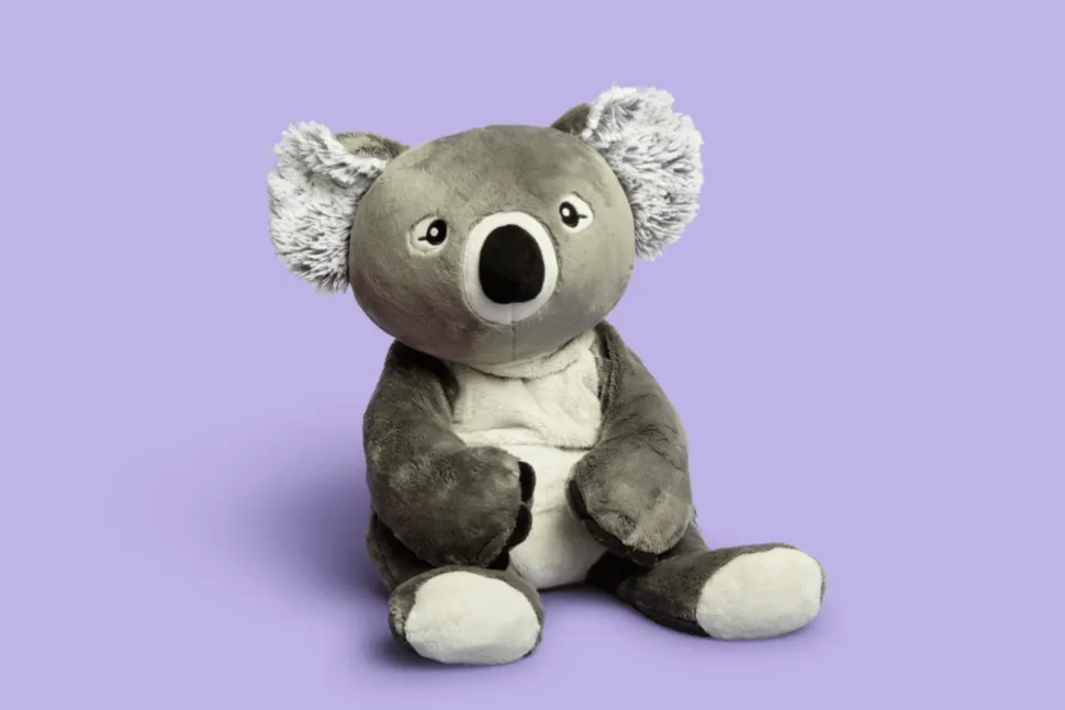 Hugimals - Quinn the Koala