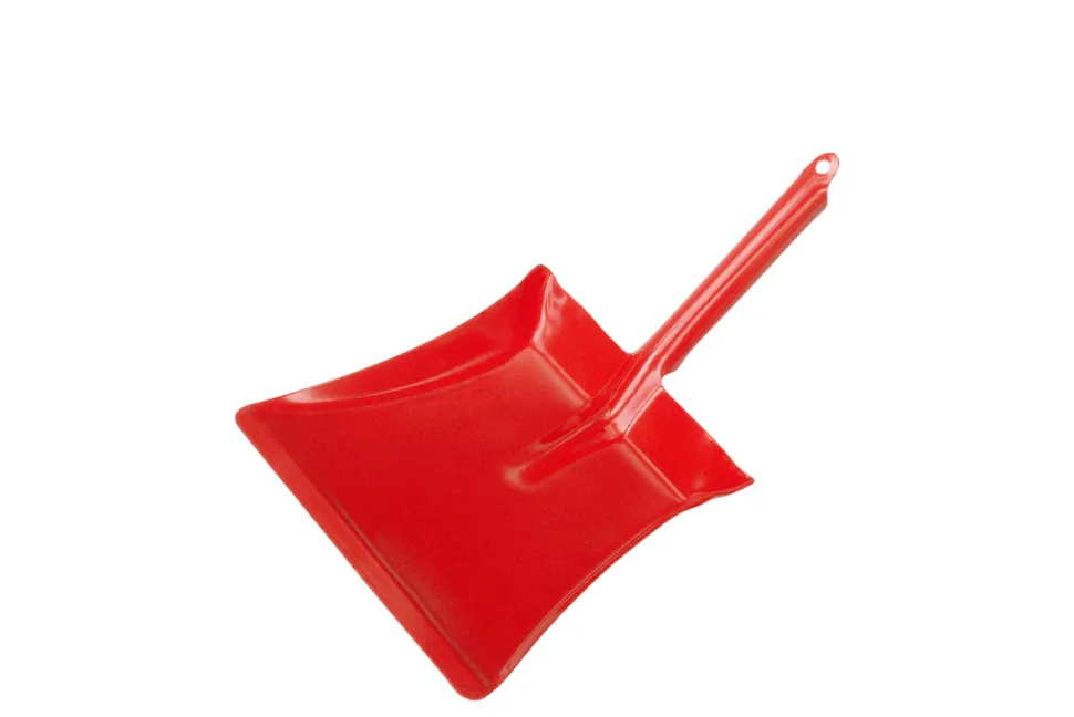 Indoor Broom and Dustpan