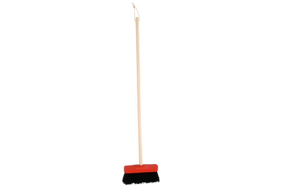Indoor Broom and Dustpan
