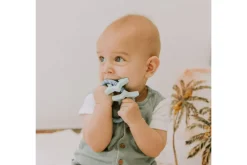 Jellystone Silicone Star Teether
