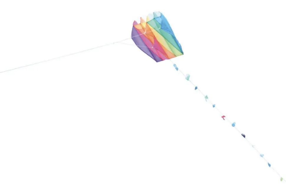 Kids Kite