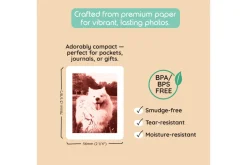 Kiimento Model P2 Print Packs