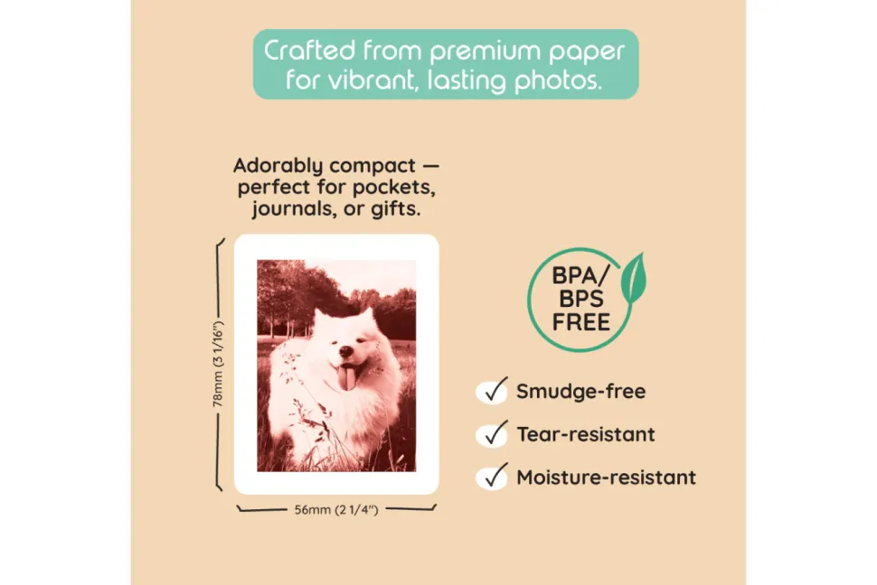 Kiimento Model P2 Print Packs