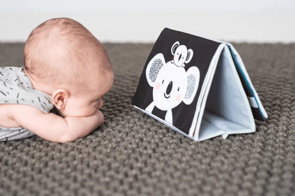 Koala Tummy-Time Book