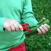 Le Petit Chef Vegetable Peeler for Children
