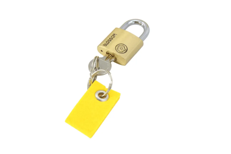 Locks and Keys Set