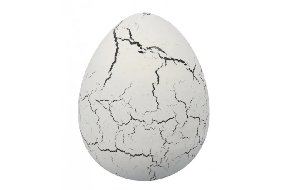 Magic Dino Egg