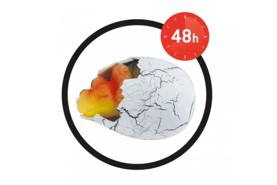 Magic Dino Egg