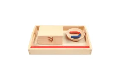Magnet Activity