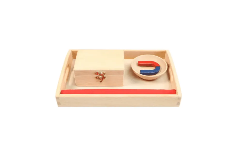 Magnet Activity