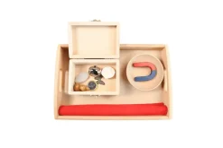 Magnet Activity