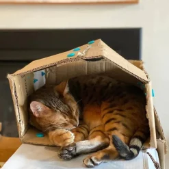 Makedo Discover Builder Kit