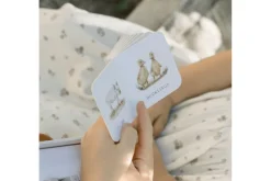 Mini Book Set - Our Very Little Library: A Foundational Language Vocabulary Board Book Set for Babies