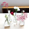 Mini Glass Vases - Set of 3