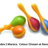 Mini Maraca (various colours)