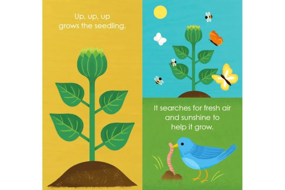 Montessori: Seed Work