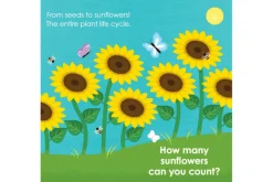 Montessori: Seed Work