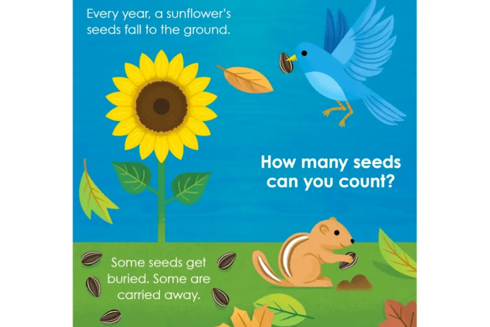 Montessori: Seed Work