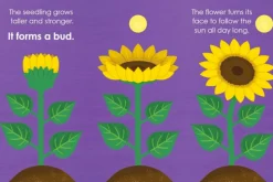 Montessori: Seed Work
