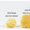 Natural Sea Sponge for Plant Care