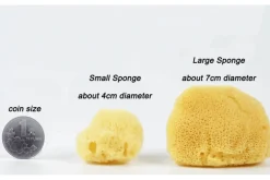 Natural Sea Sponge for Plant Care