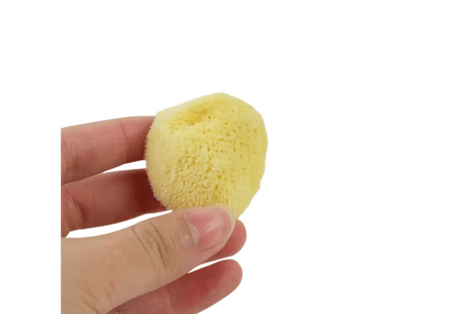 Natural Sea Sponge for Plant Care