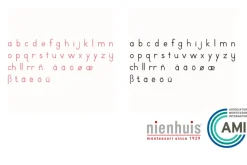 Nienhuis - Small Movable Alphabet: International Print (Red or Black)