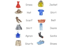 Nomenclature Cards (Multiple Themes Available)