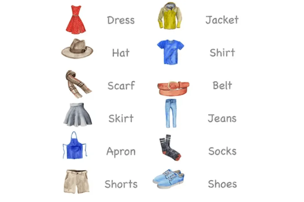 Nomenclature Cards (Multiple Themes Available)