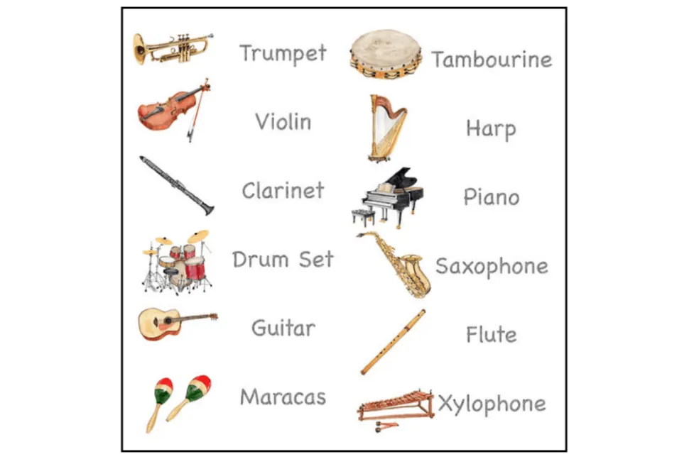 Nomenclature Cards (Multiple Themes Available)