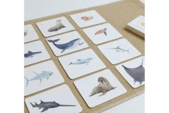 Nomenclature Cards (Multiple Themes Available)
