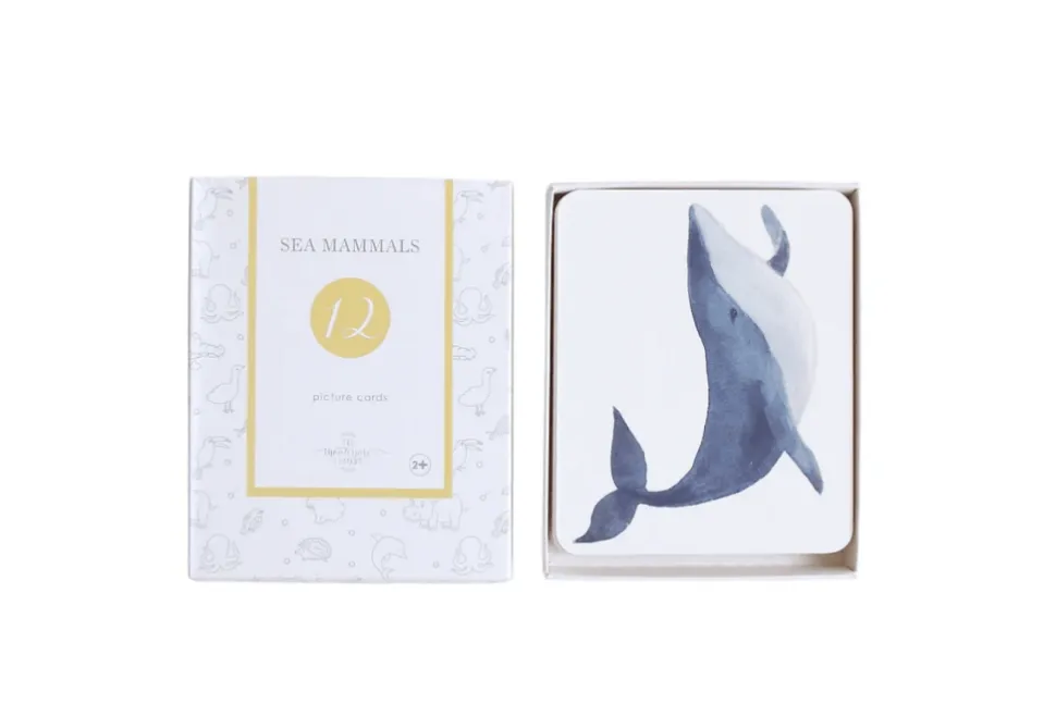 Nomenclature Cards (Multiple Themes Available)