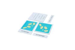 Nomenclature Cards of Land and Water Forms: Set 1 and Set 2 (Cards Only)