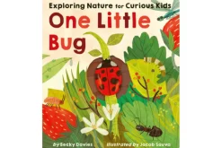 One Little Bug by Becky Davies [Board book]