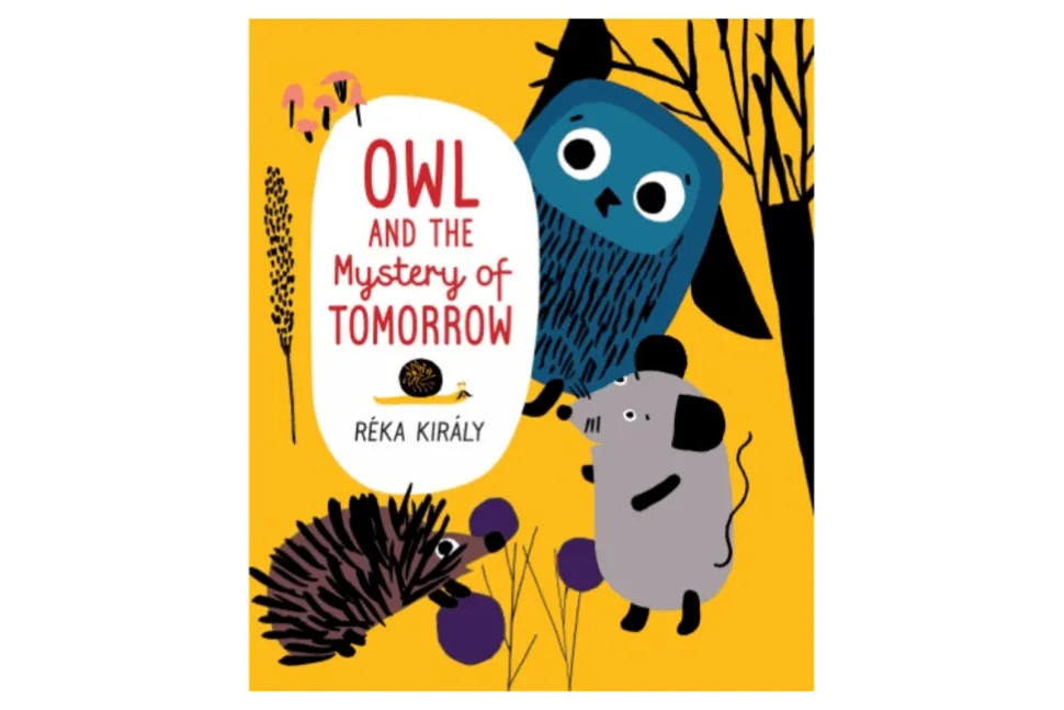 Owl and the Mystery of Tomorrow: A Book To Help Children Understand Time